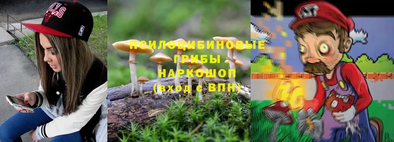 Галлюциногенные грибы Psilocybe  Вичуга 